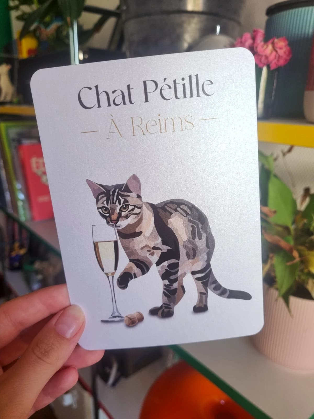 Carte illustrée aux coins arrondis montrant un chat tigré à côté d'une flûte avec le texte Chat Pétille À Reims.